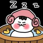 찌코는 안친해!