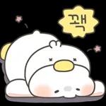 귀염 샤방 토끼 샤니