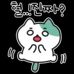 낙천가고양이 민트냥
