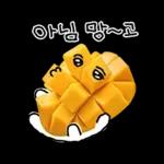 청과물 그리고 눈빛