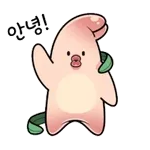 쪼아~🎵쪼아~🎵	콜콜콜~!!!