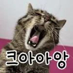 고양이다냥