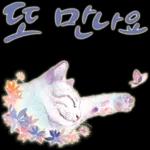 늘, 함께해요.. 반려묘의 사랑메세지