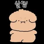 갱상도 갱아지에 사랑고백! 2