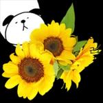 이야기 꽃이 피었습니다 