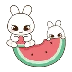 여름에 수박을 먹어요!