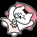 찌코는 안친해!