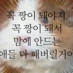 기여븐 기니햄짤.zip