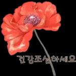 鲜艳꽃束问候表情包2