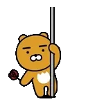 현실표로 딱 보여드림💸