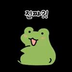 어딜봐도 개구리 깨꾹! 