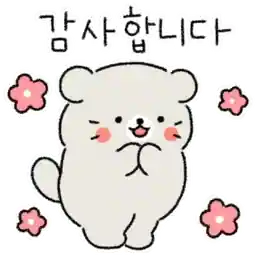 생일 축하 드려요
