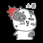 점냥아 오늘만 참자