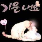 늘, 함께해요.. 반려묘의 사랑메세지