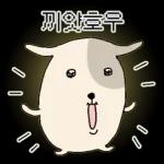 표정으로 말하는 뽀삐