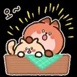 말랑뽀짝 냐냐들의 일상