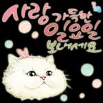 늘, 함께해요.. 반려묘의 사랑메세지