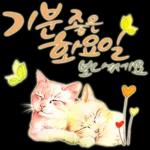 늘, 함께해요.. 반려묘의 사랑메세지