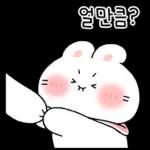 뽀아는 라뷰둥이 8