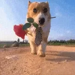 오늘 하루, 사랑도 돈도 다 잡을 거예요!