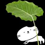 이야기 꽃이 피었습니다 