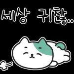 낙천가고양이 민트냥