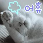 고양이다냥