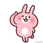 핑크 토끼 이모티콘 팩