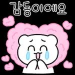 다정한 곰도리