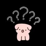 차칸이의 이쁜 리액션