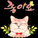 늘, 함께해요.. 반려묘의 사랑메세지