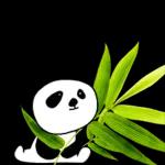 이야기 꽃이 피었습니다 