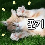 고양이다냥