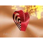 인생 절반이 ❤️아내 사랑