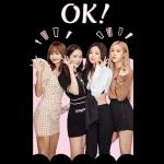 BLACKPINK IN YOUR AREA 3