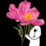 이야기 꽃이 피었습니다 