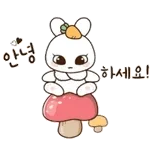 좋은 아침입니다~!!!!