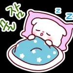 비만 댕댕이의 라이프스타일