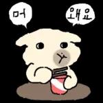 흘긋흘긋 털강아지