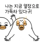 이럴 수가! /이게 실화야?