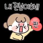 귀여운 아기강아지 말티숑!