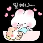 오동오동 귀욤찐 밀크티토끼