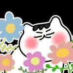 찌코는 안친해!