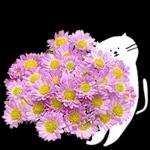 이야기 꽃이 피었습니다 