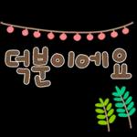 오늘의 힐링 문자들1