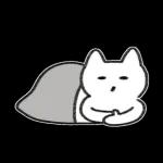 뮤냥은 이불 속이 좋다