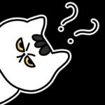 찌코는 안친해!