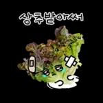 청과물 그리고 눈빛