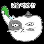 점냥아 오늘만 참자