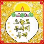예쁜 민화꽃이 피었네